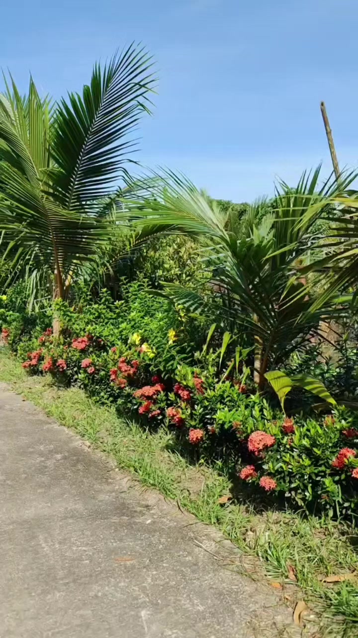 @Bất Động Sản Cần Thơ