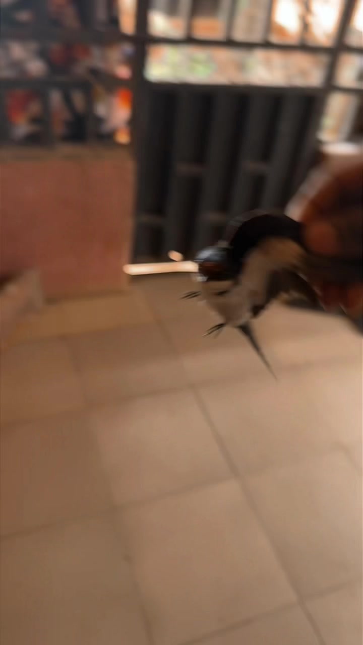 @Sᙎᗩᘜᙓᖇ