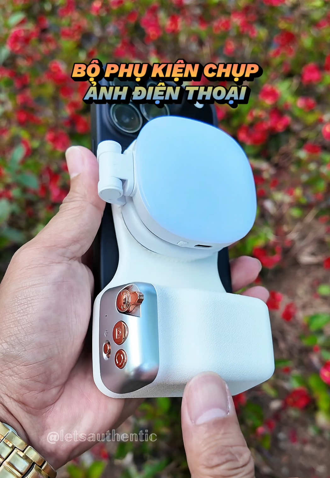 @𝕃𝔼𝕋&rsquo;𝕊 𝔸𝕌𝕋ℍ𝔼ℕ𝕋𝕀ℂ