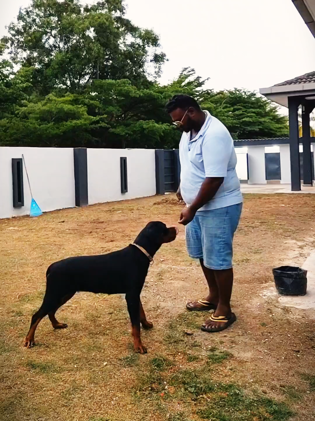 @Bamboozler kennel