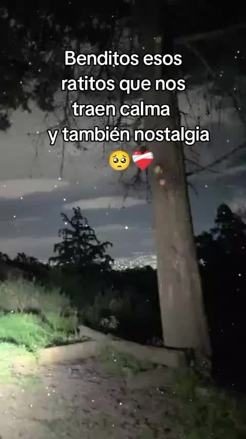@🌻 chinita hermosa🌻