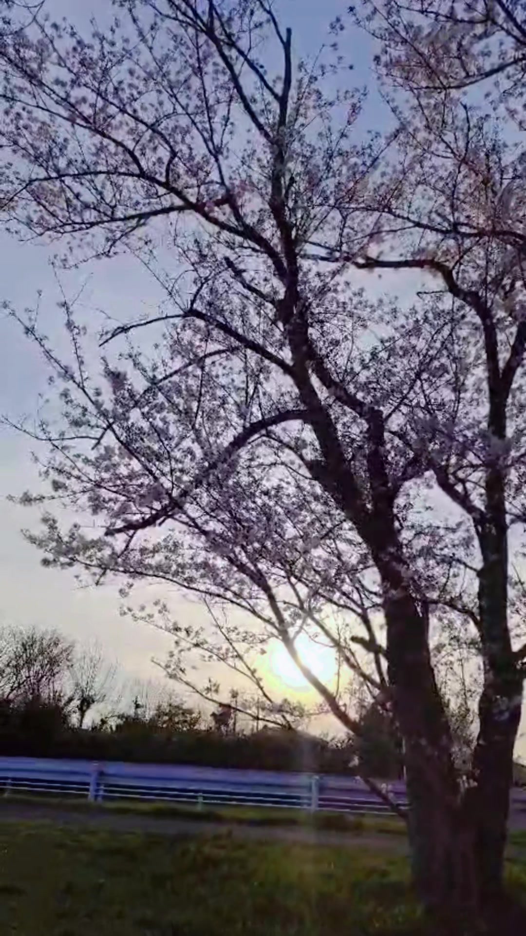 @anra_8