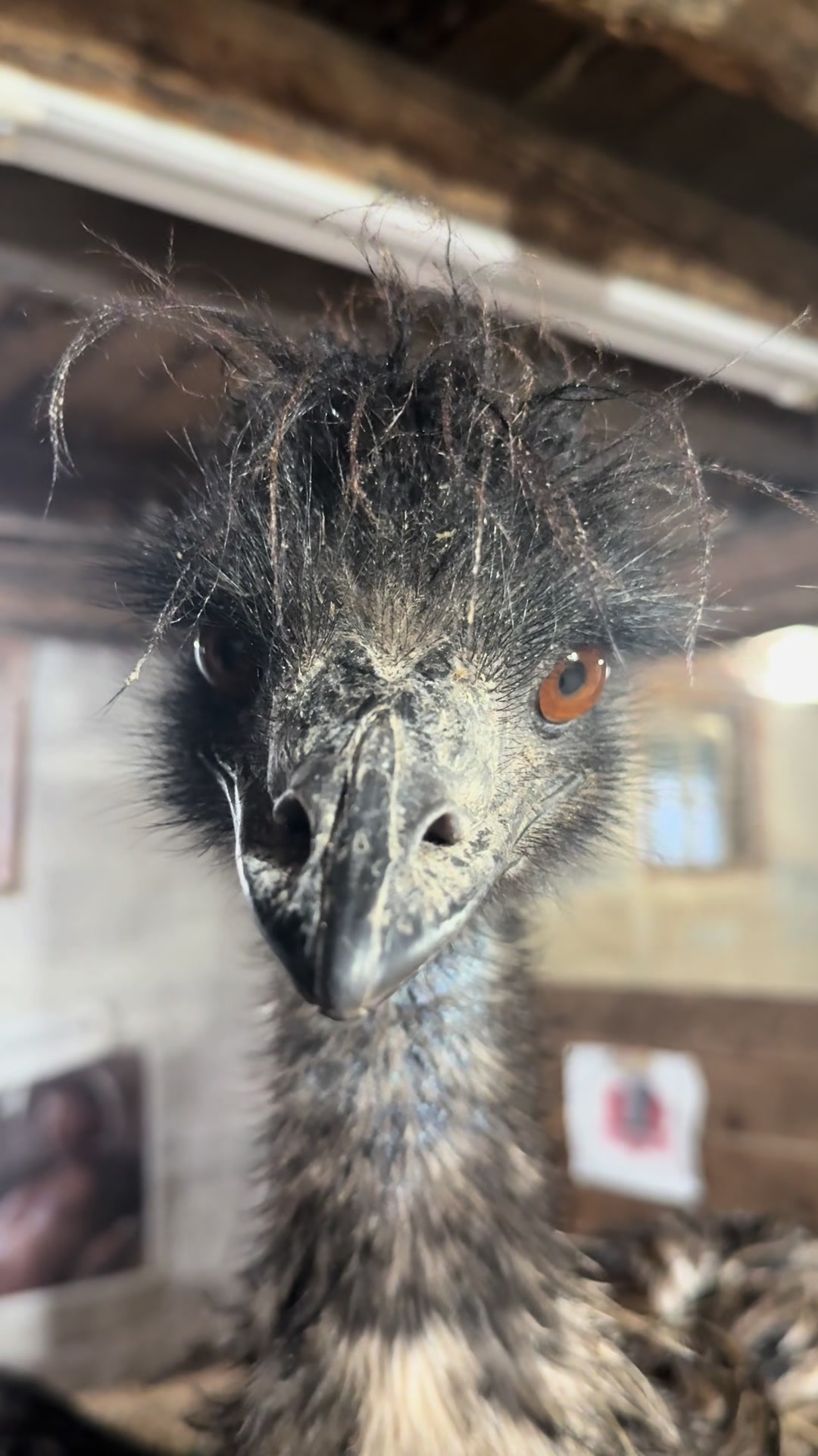 @Useless Farm