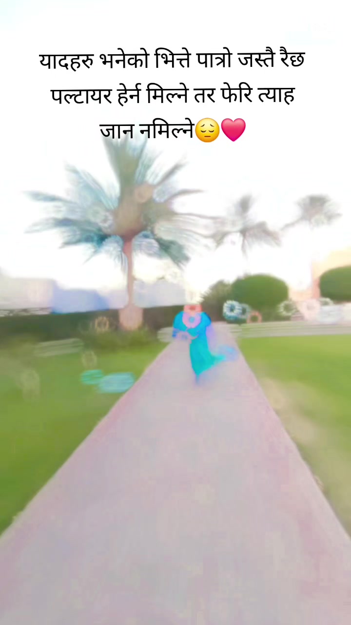 @cheepu💗🌺