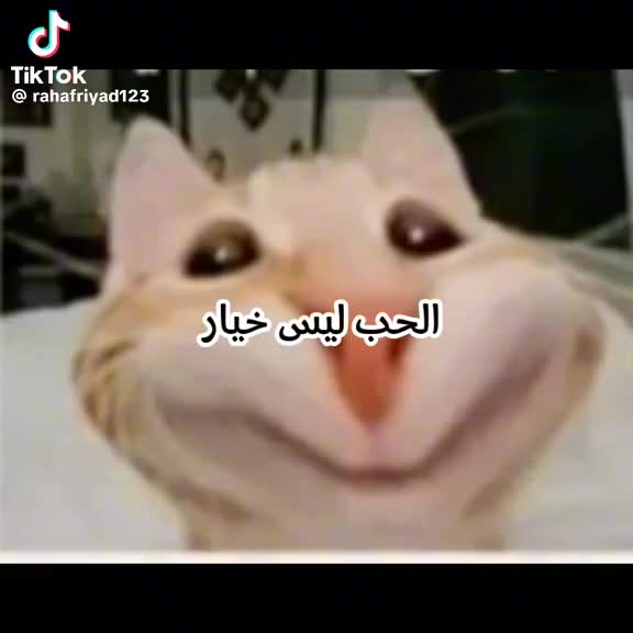@ريان الـعراقـيـ2013🗽