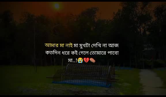 @🌸Jishan's Wife😊