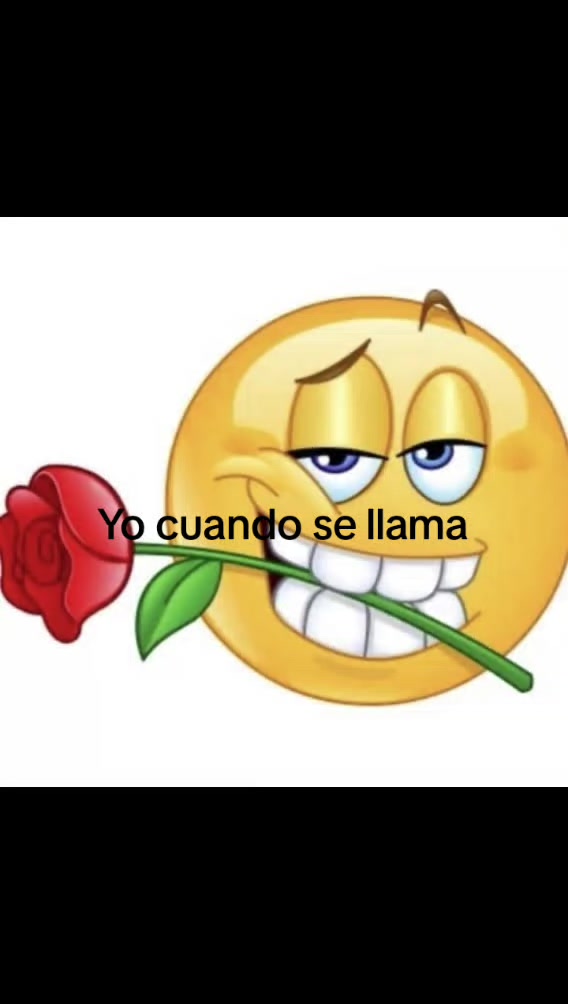 @˚₊‧꒰ა𝒮ℴ𝒻𝒾𝒶 ໒꒱ ‧₊˚