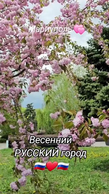 @𝑶𝒍𝒈𝒂 𝑽𝒍𝒂𝒅𝒊