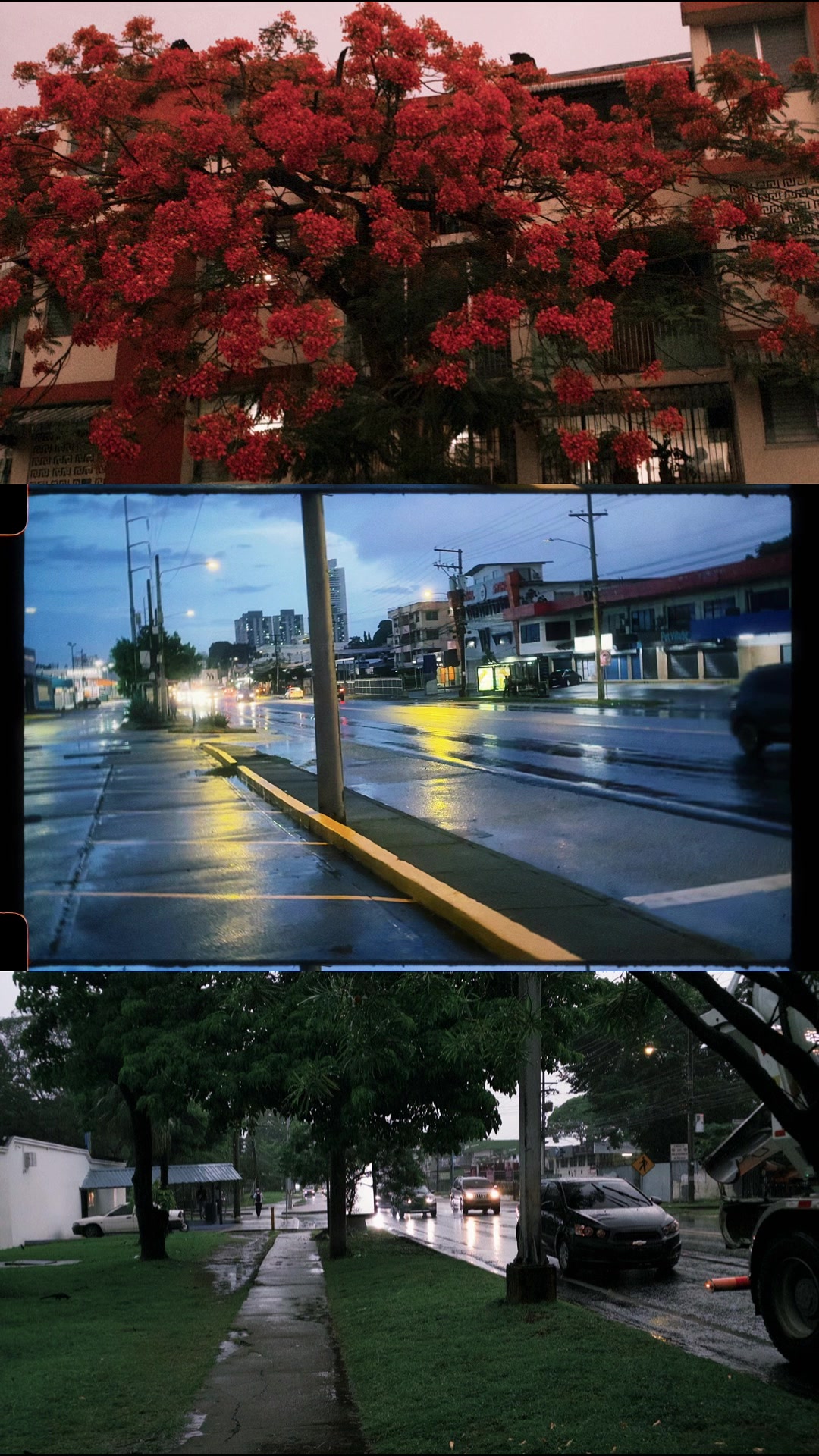 @Joel Castillo