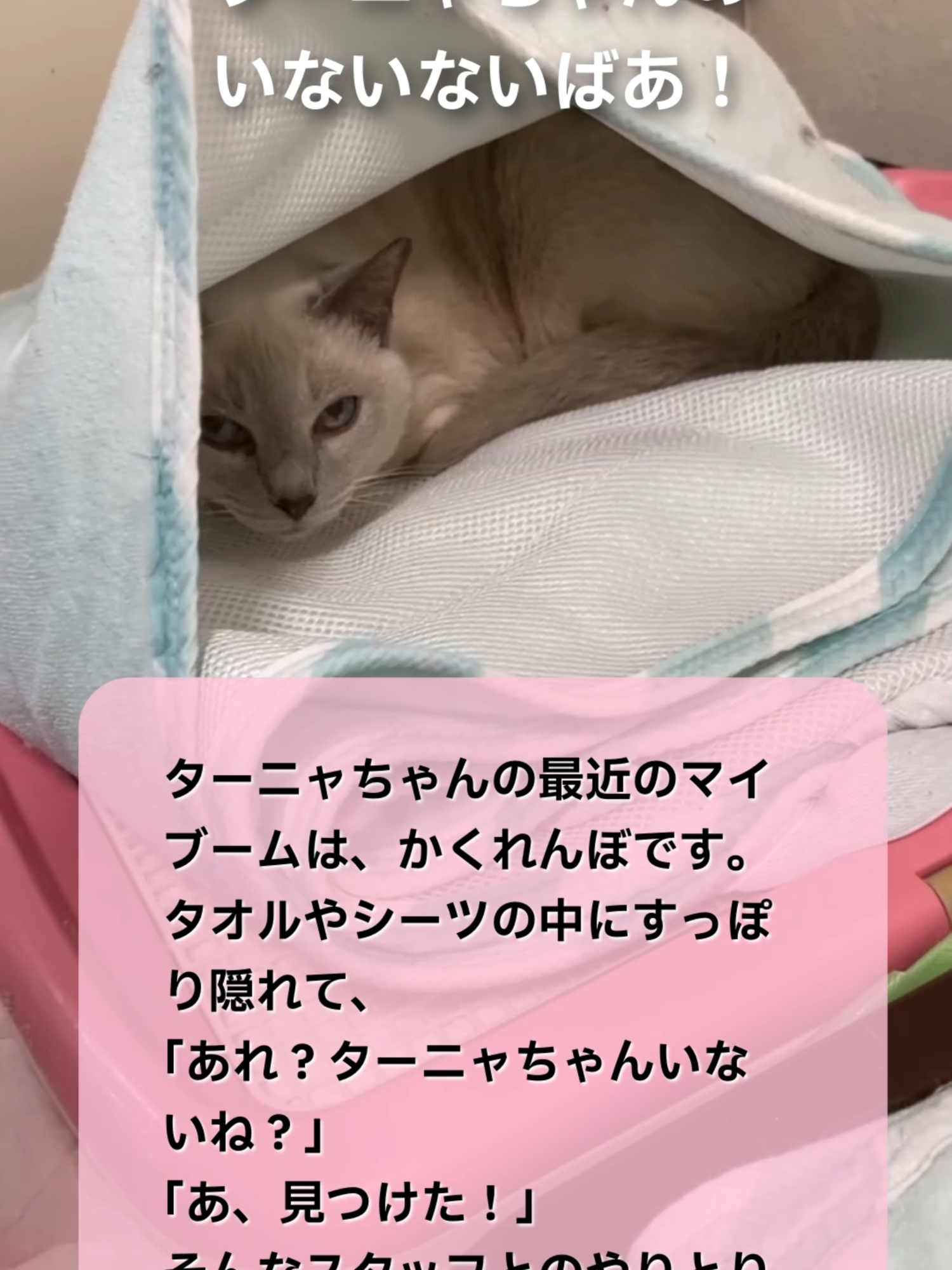 @NPO法人エターナル・ホーム