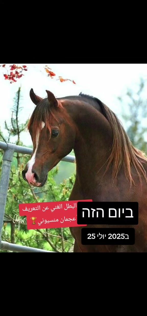 @🐎عوده لتوزيع مستلزمات الخيو🐎