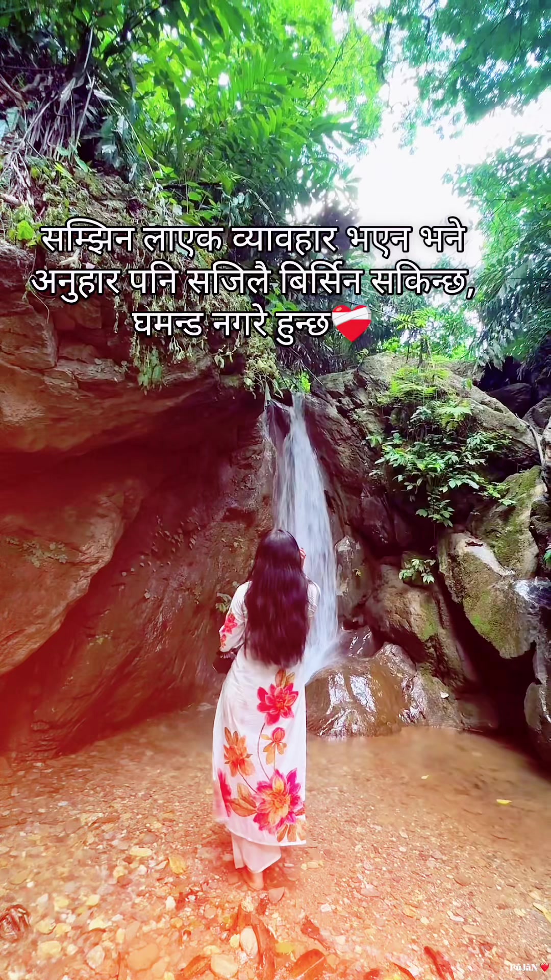 @Rupa Grg🌻🌻