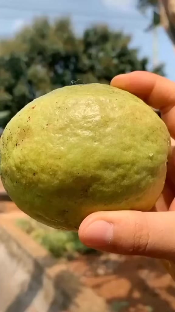 @fruits
