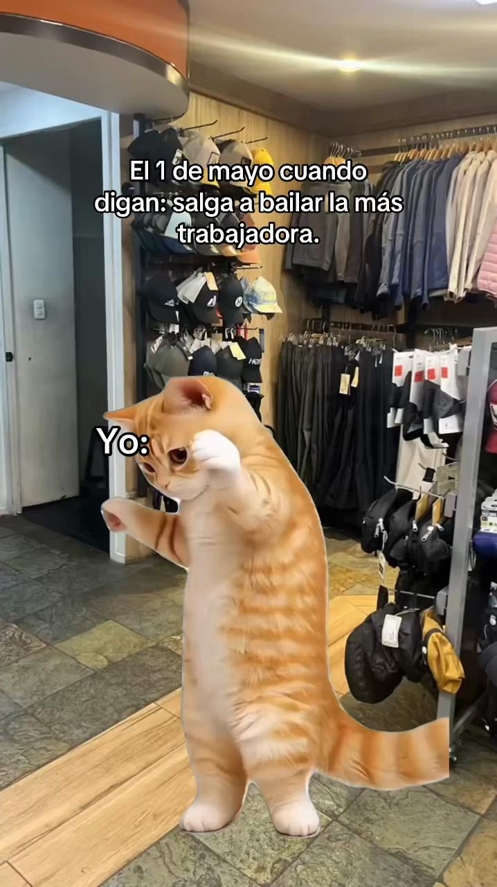 @Guadalupe🦋