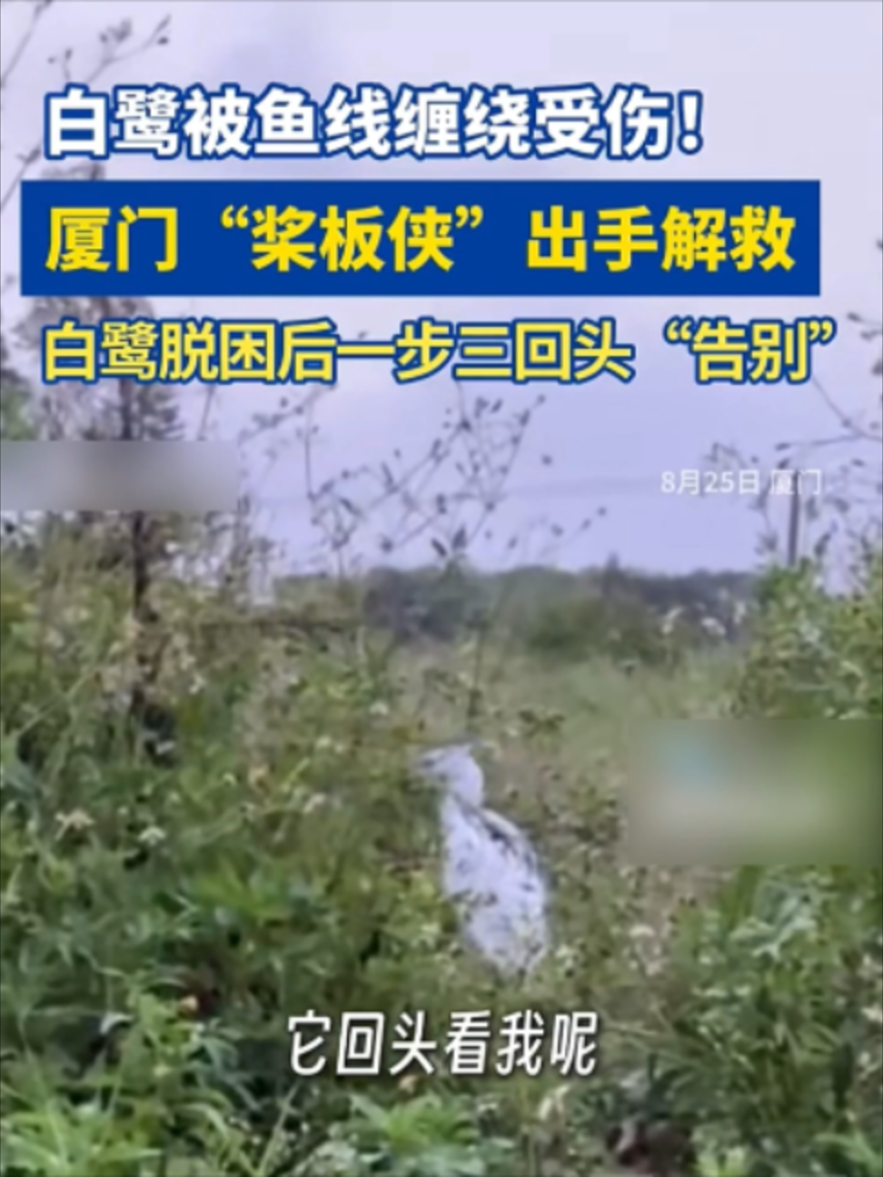@闽南风~