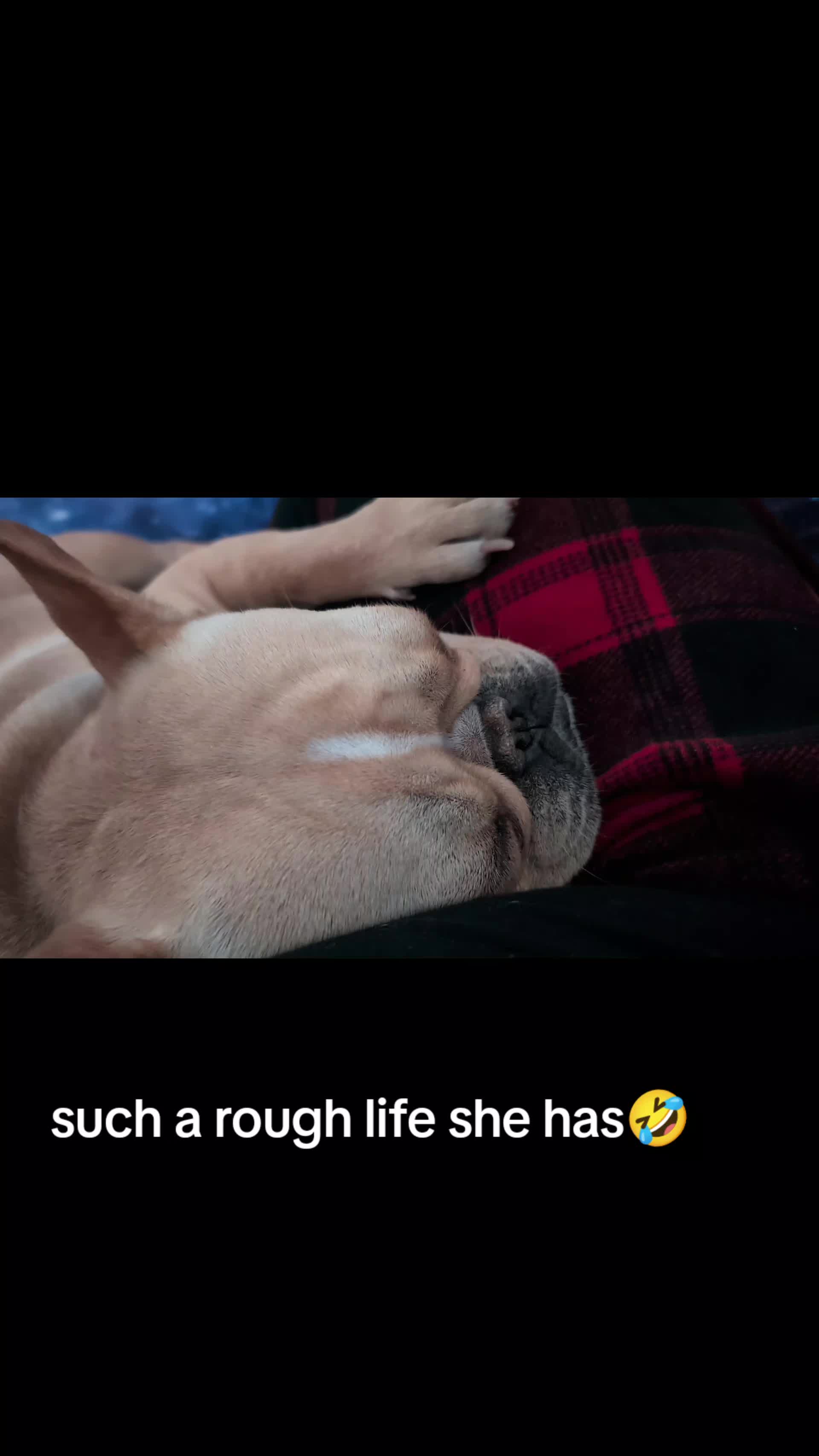 @DevineMadness