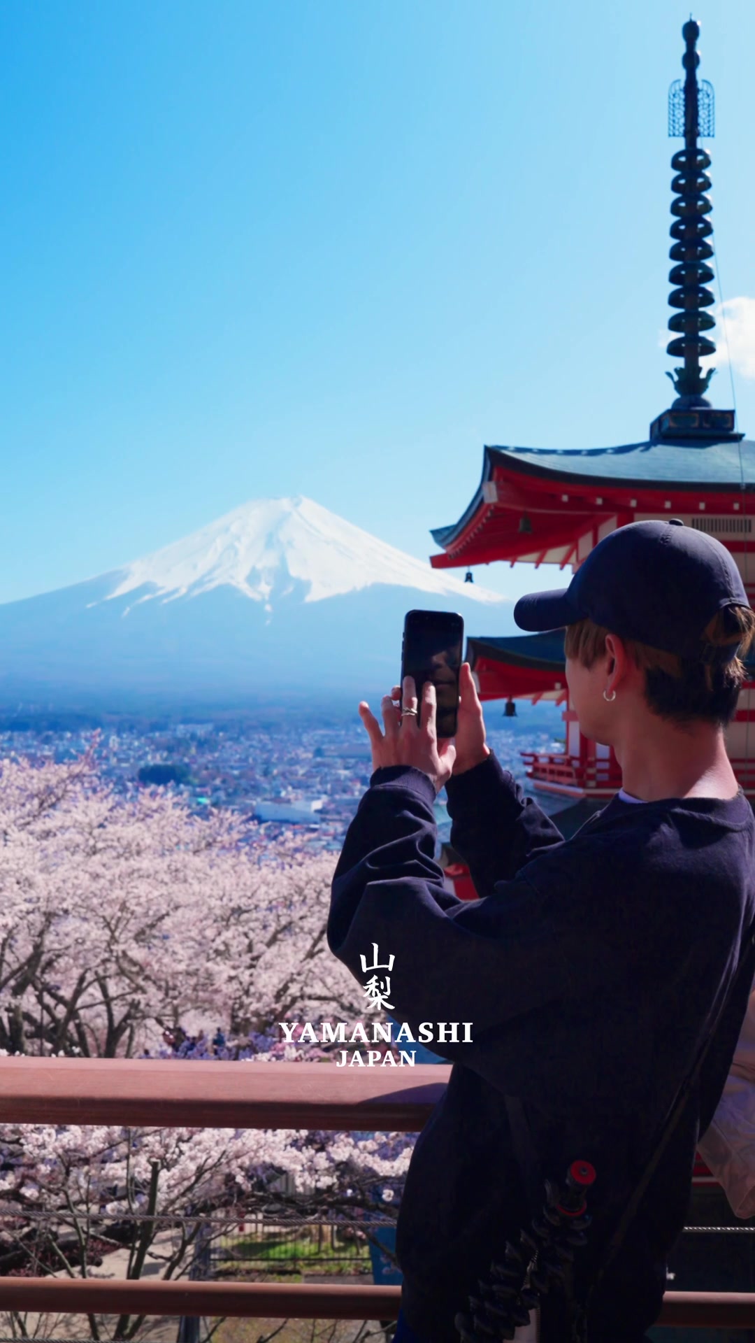 @Cotton | Japan Travel 🇯🇵