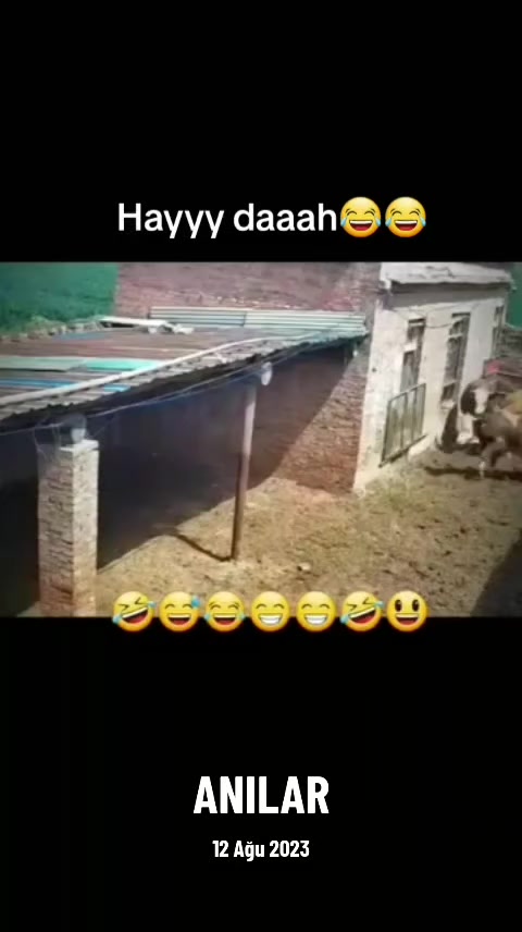 @yılmaz Çetinkaya