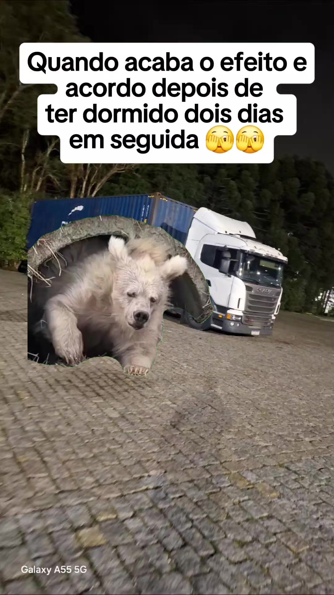 @xaropinho