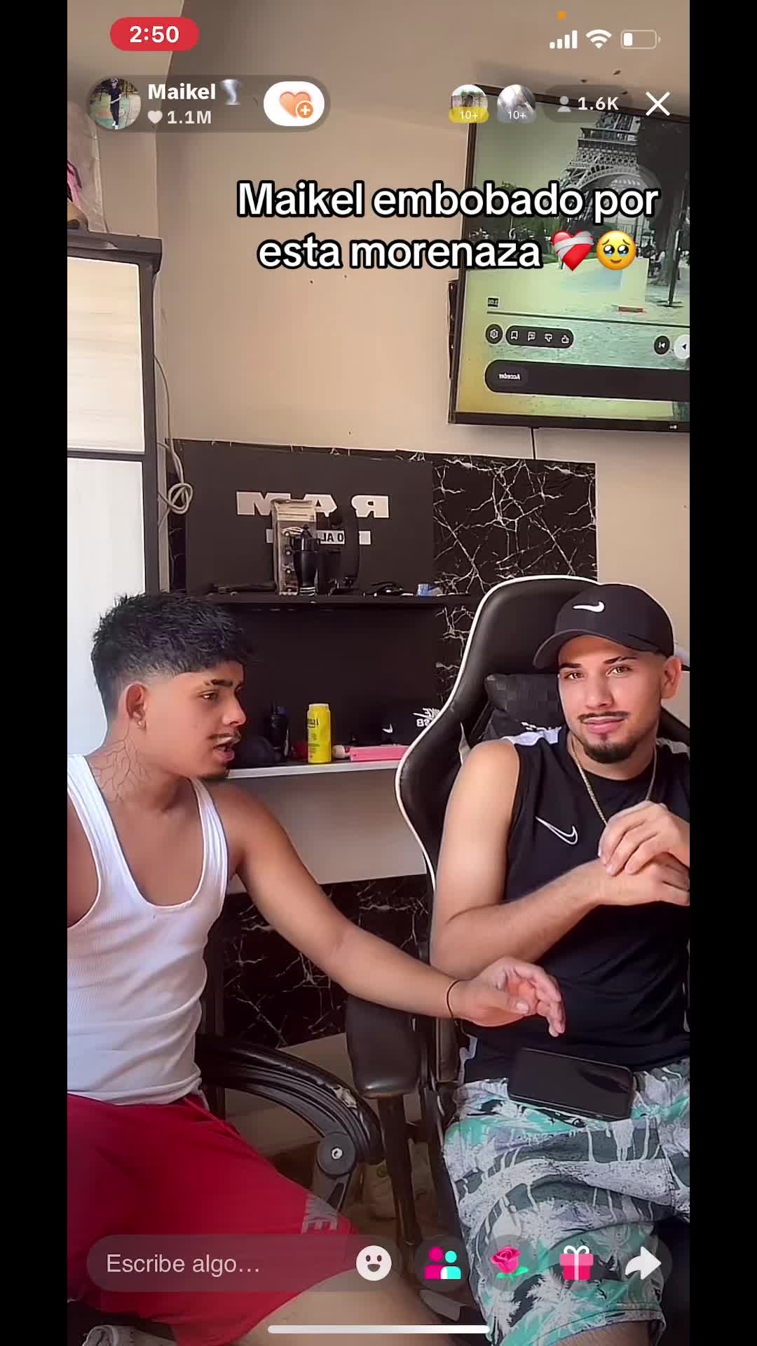 @TEAM 🐼 TEAM 🌪️