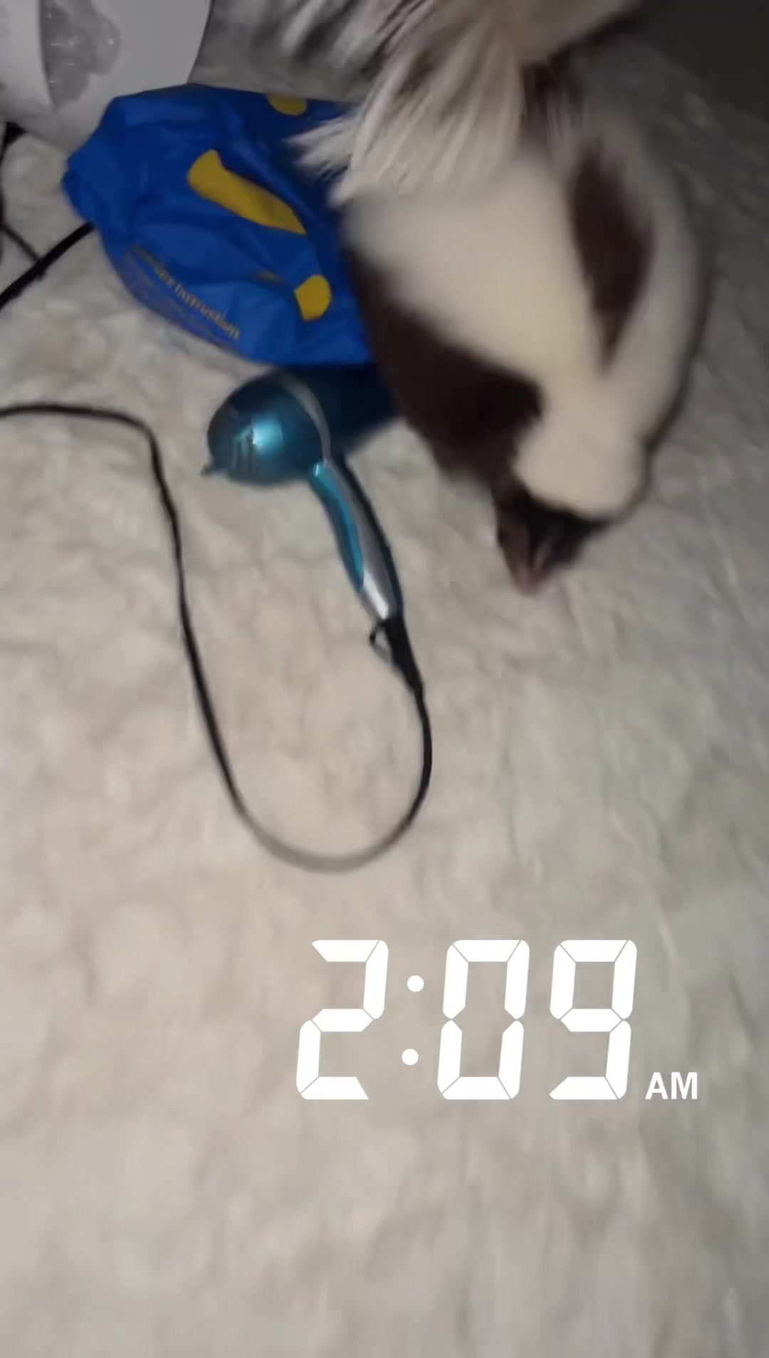 @Apple🦨
