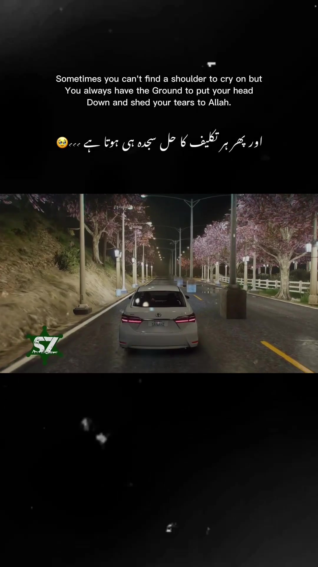 @Sanan Zahid🇵🇰
