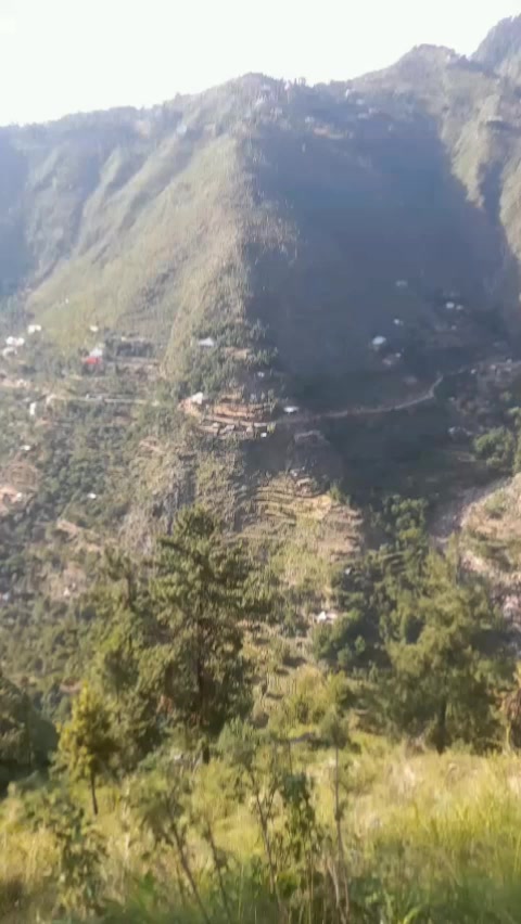 @syeedrahman881