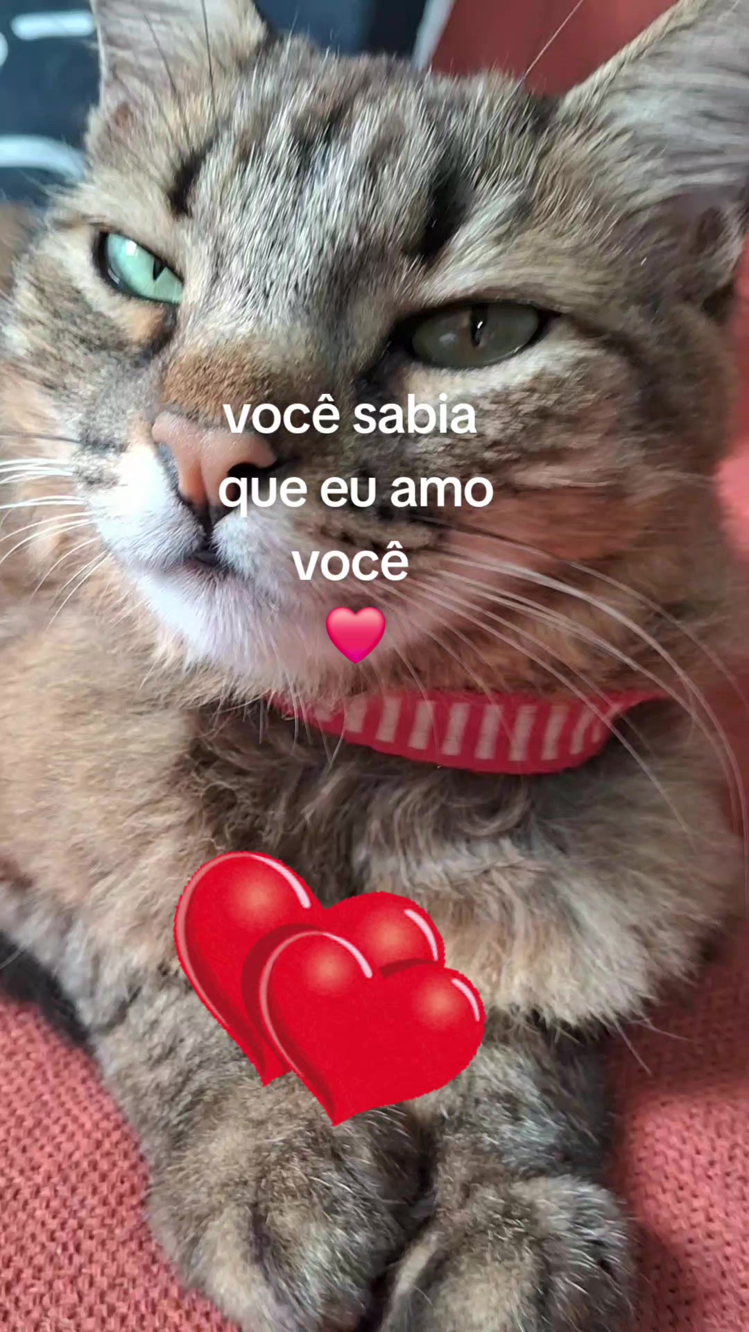 @lua