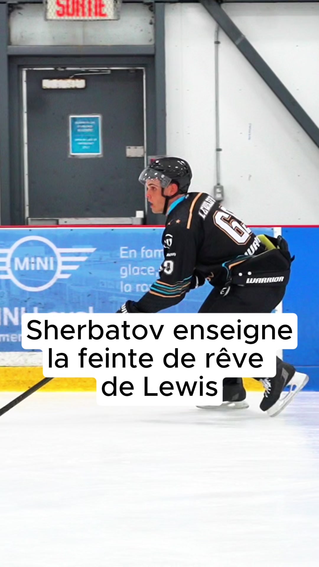 @Eliezer Sherbatov