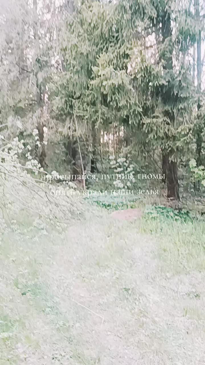 @рыжий чертяра