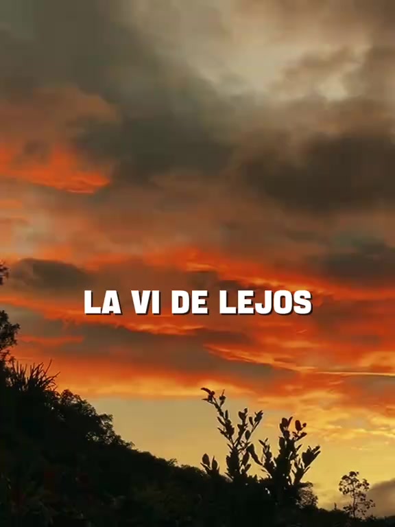 @《A》《L》《F》《R》《E》《D》《O》♤♡