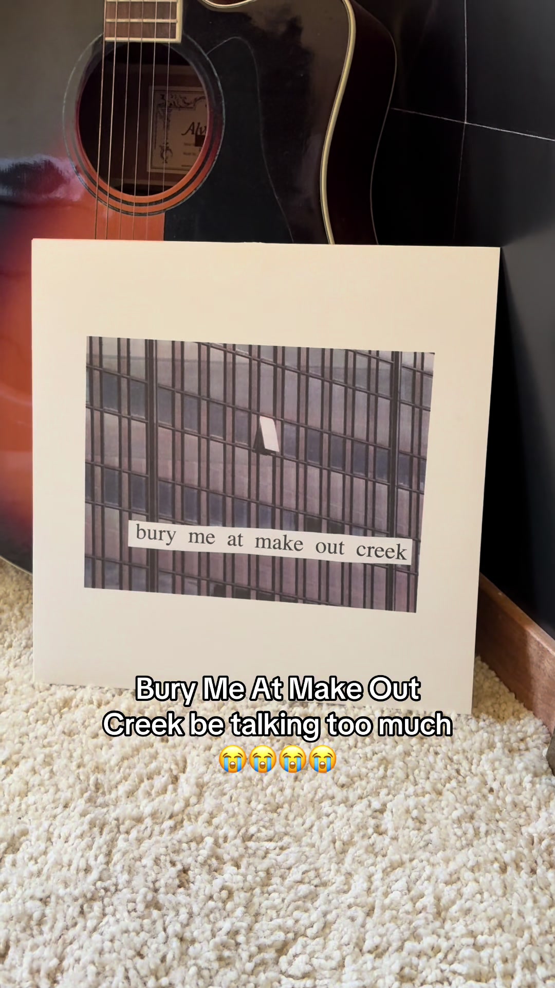 @SkyeVinyl įµ¢āā ᵤš§ (sį“Źį“į“į“ “į“”)