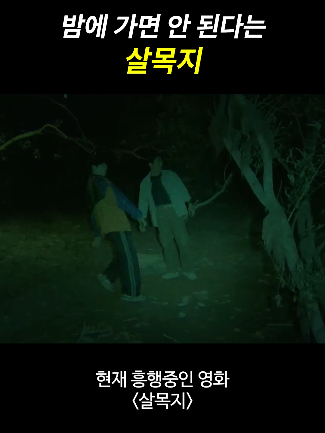 @일요시사