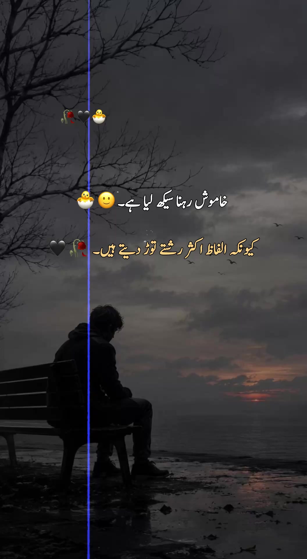 @Silᴇnt Scᴀʀs