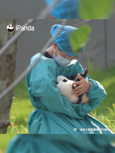 @iPanda