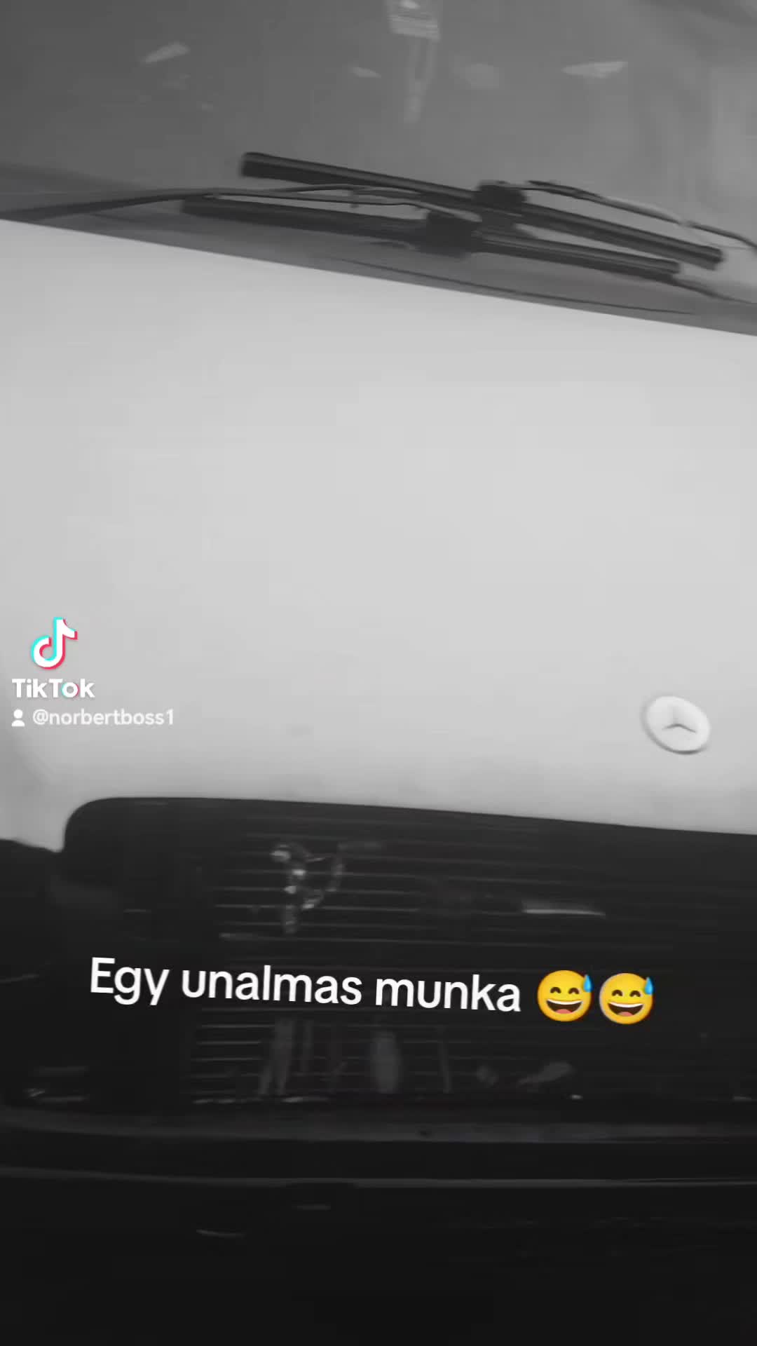 @Norbi huligan 🖤😎