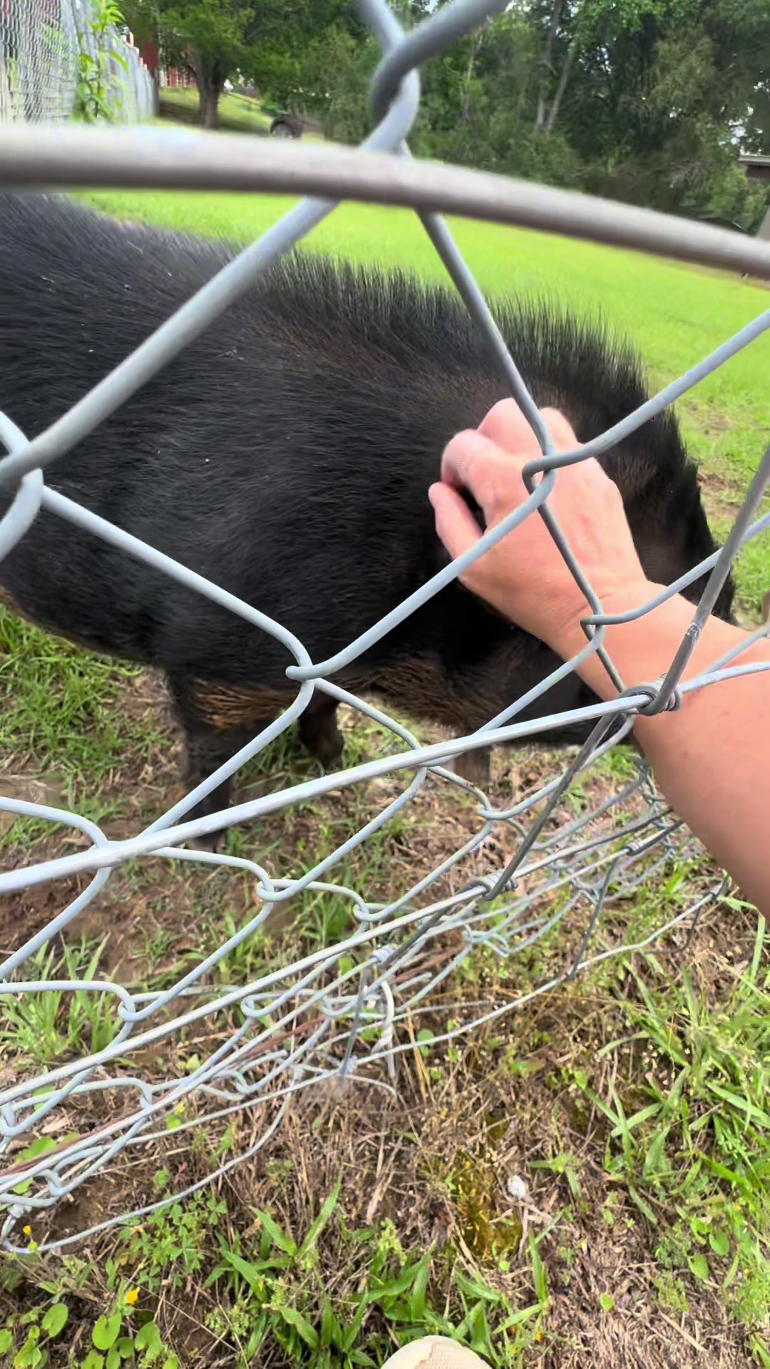 @Cedarhill Animal Sanctuary