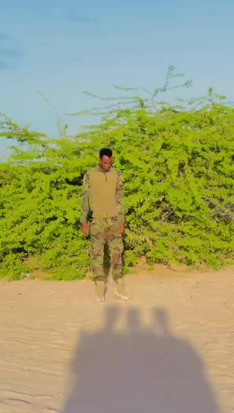 @wiil qaran 8