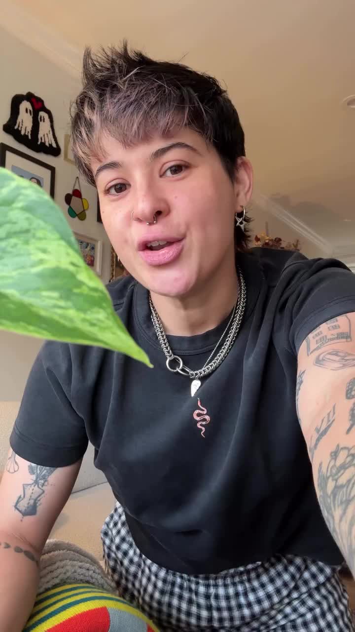 @kary 🥀