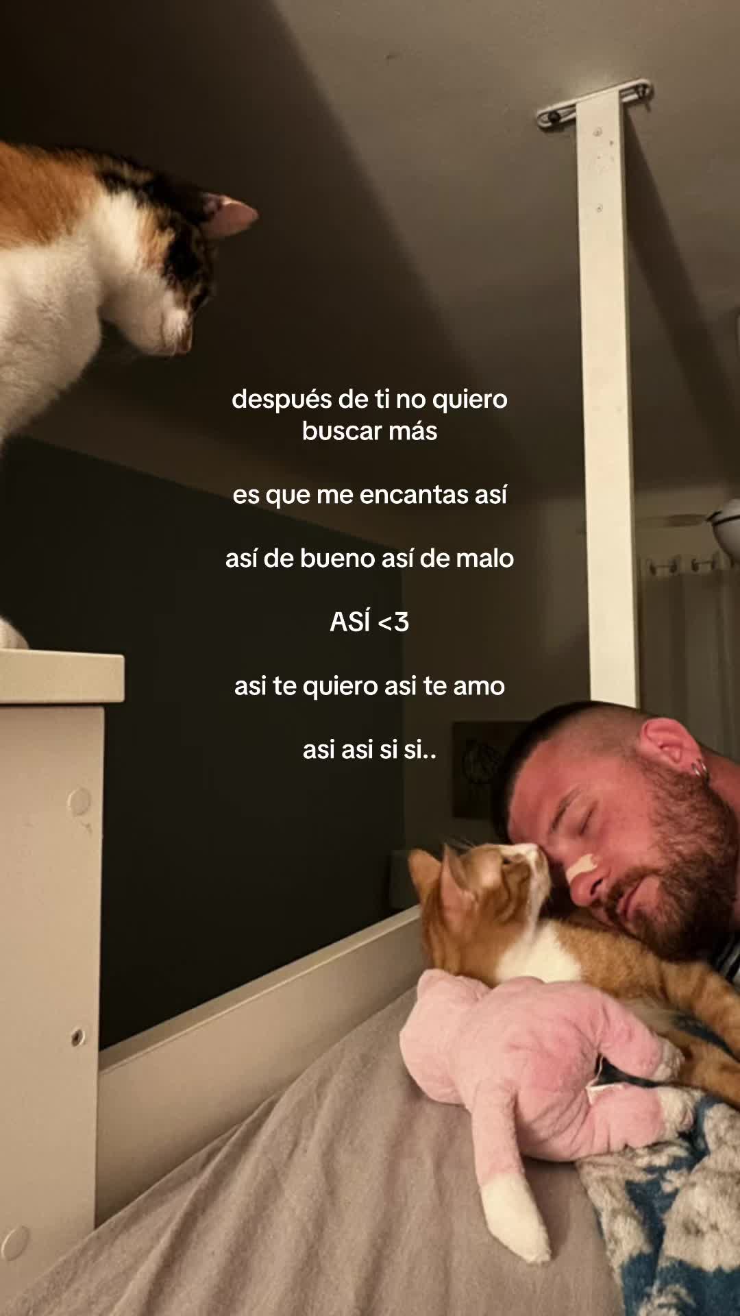 @cxnndelita