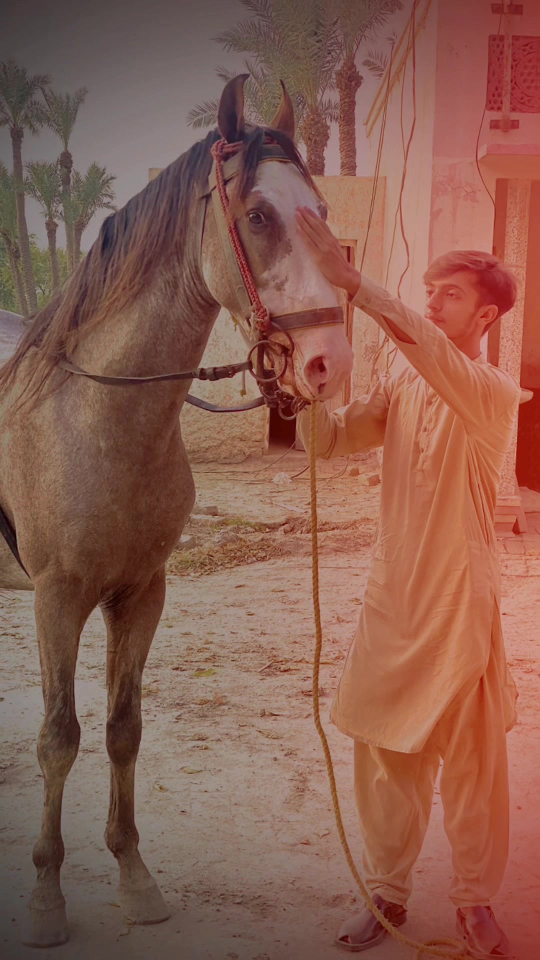 @سید محمّد عزادار حیدر شاہ🥀🖤