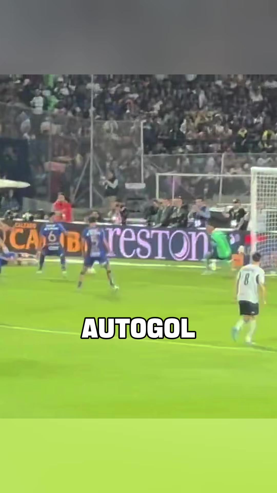 @Pedro Alem&aacute;n
