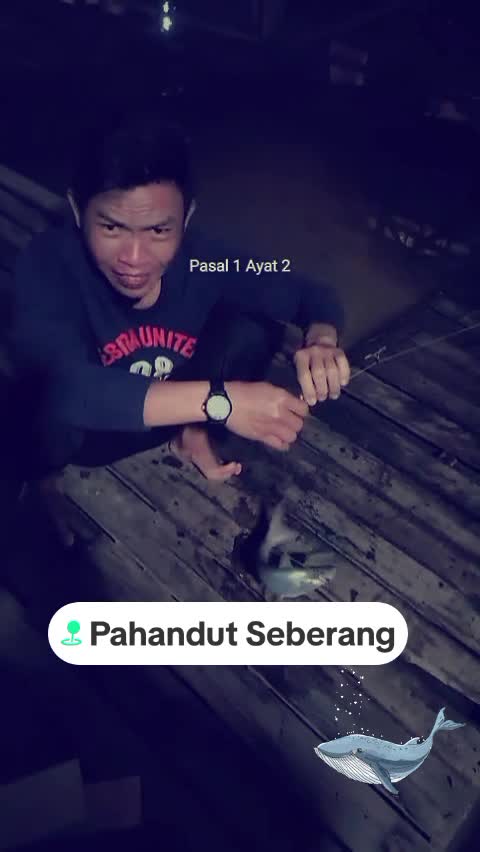 @m_cingkahayan_nzh