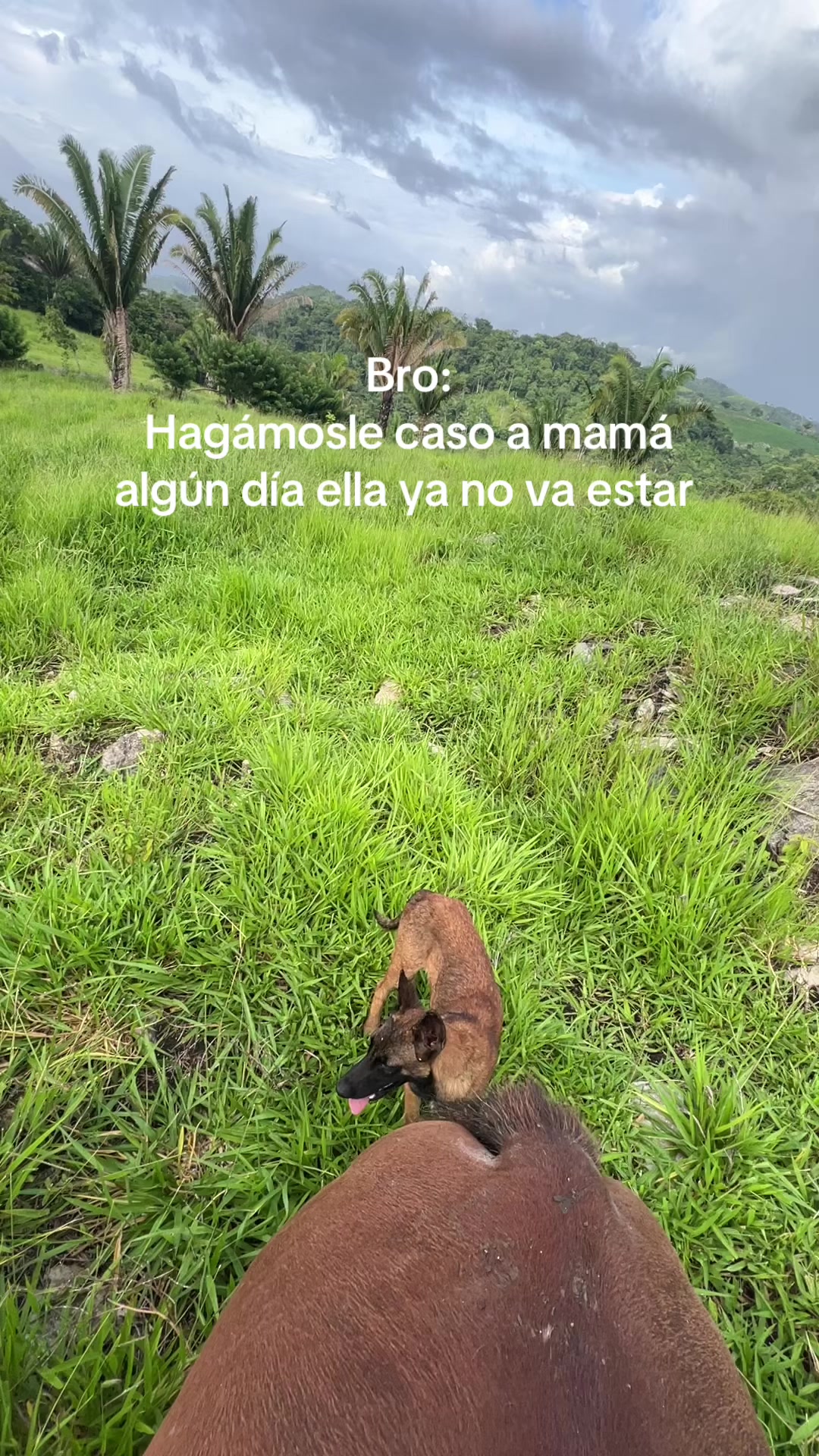 @ALVAREZ 🤠♥️