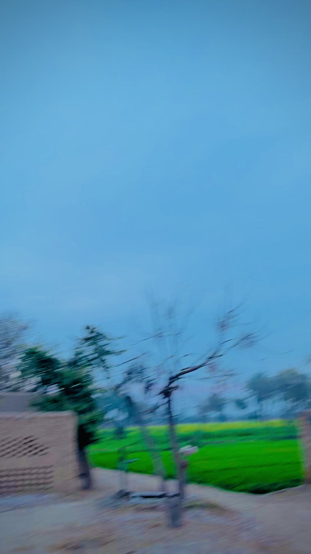 @معین