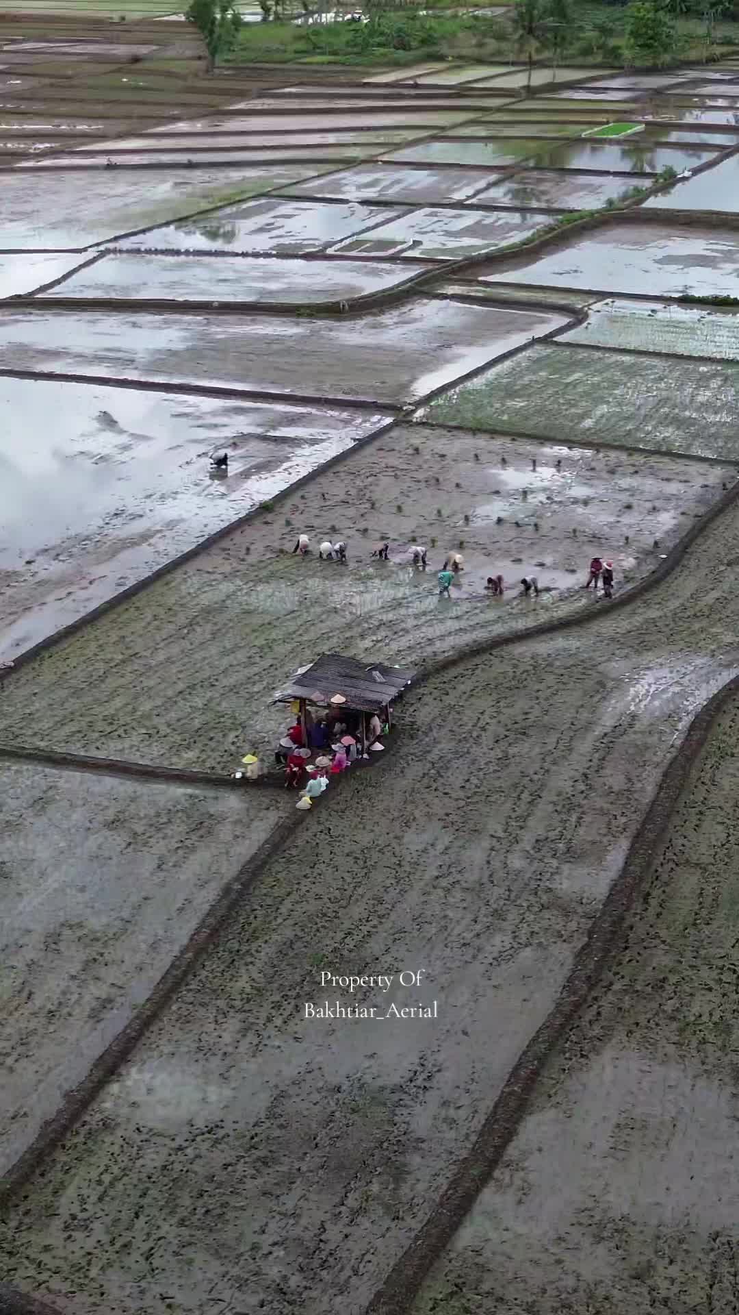 @Bakhtiar_Aerial/Warung_MbaTari