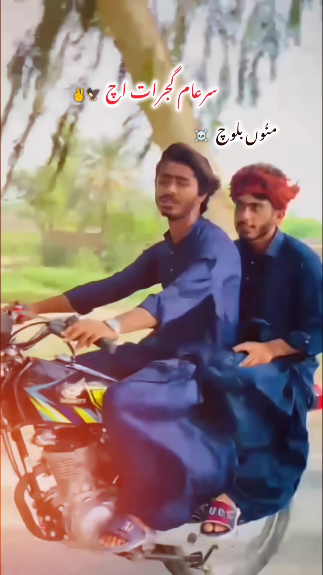 @راجـــــو ♣