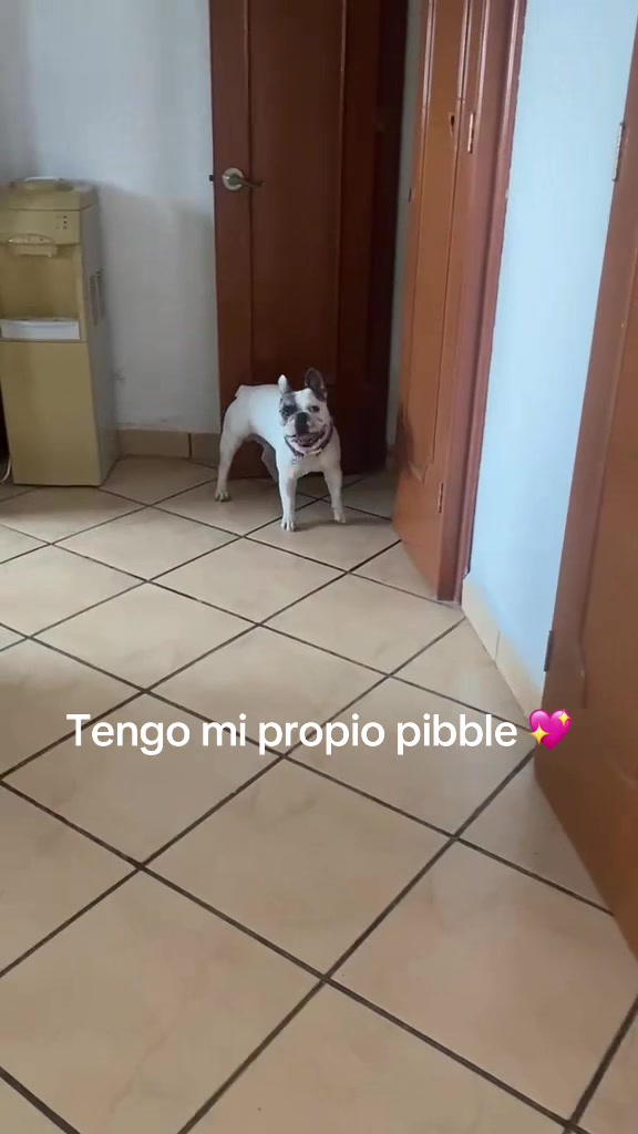 @Irlan