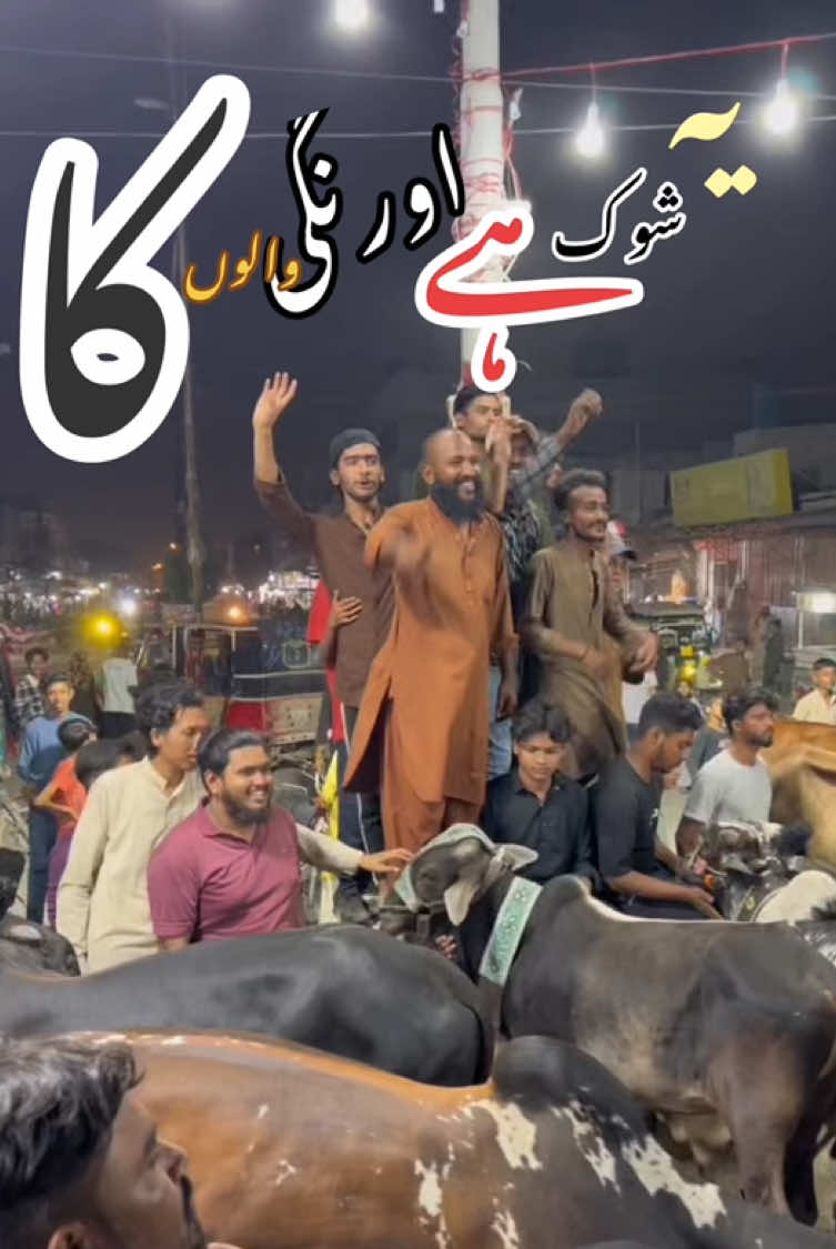 @Cattle_Guy’s