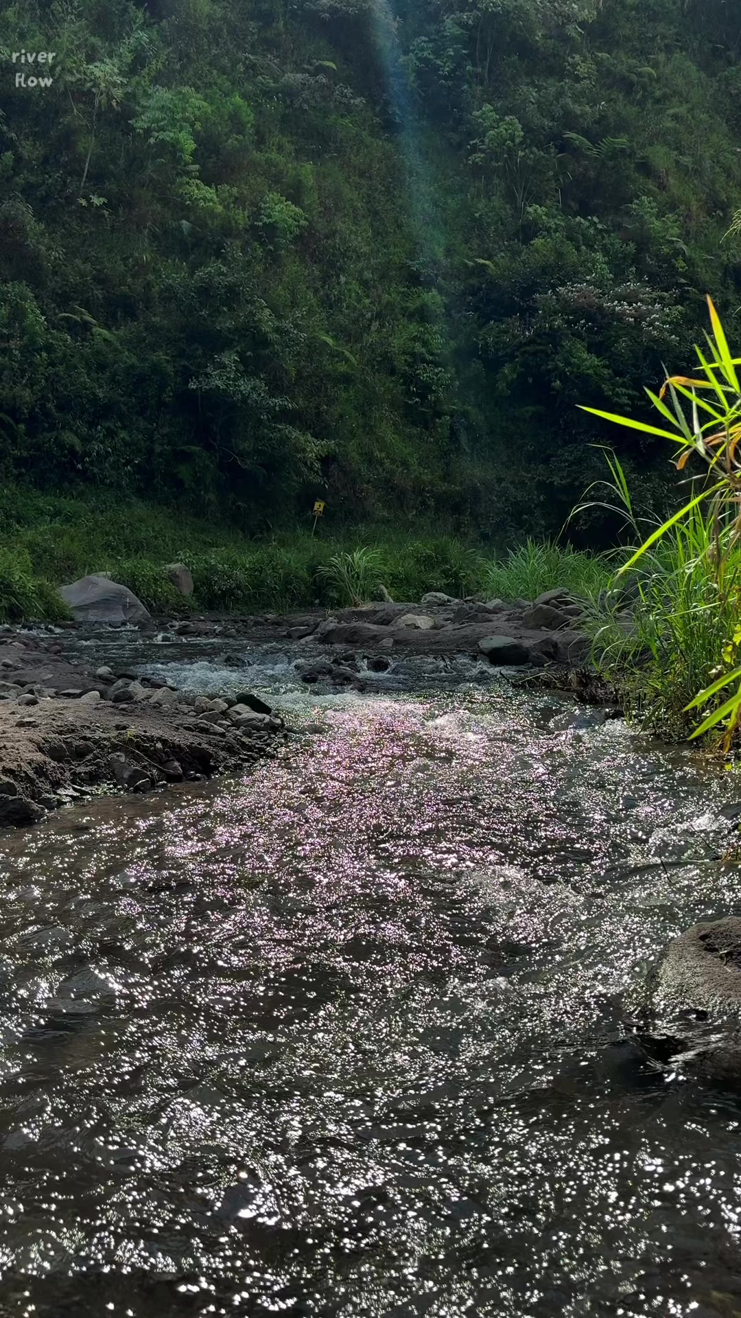 @River Flow